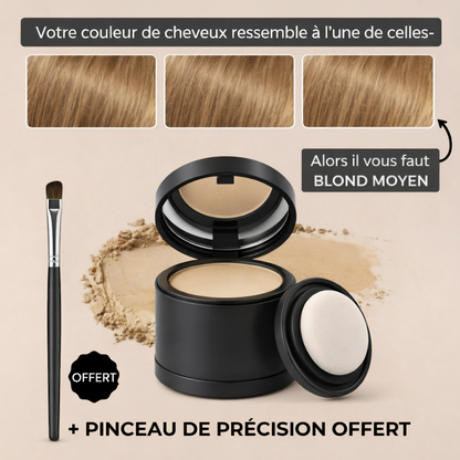 Poudre densifiante pour cheveux
