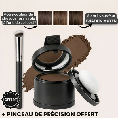Poudre densifiante pour cheveux