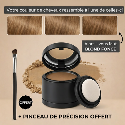 Poudre densifiante pour cheveux